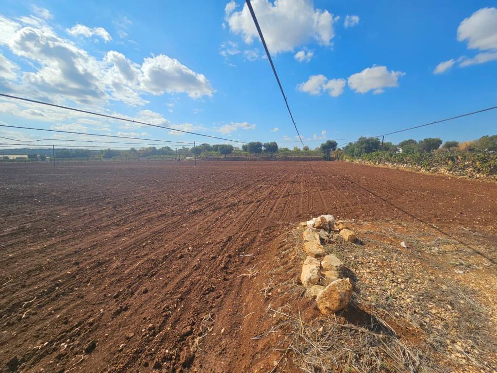 immagine annuncio 1 di 4