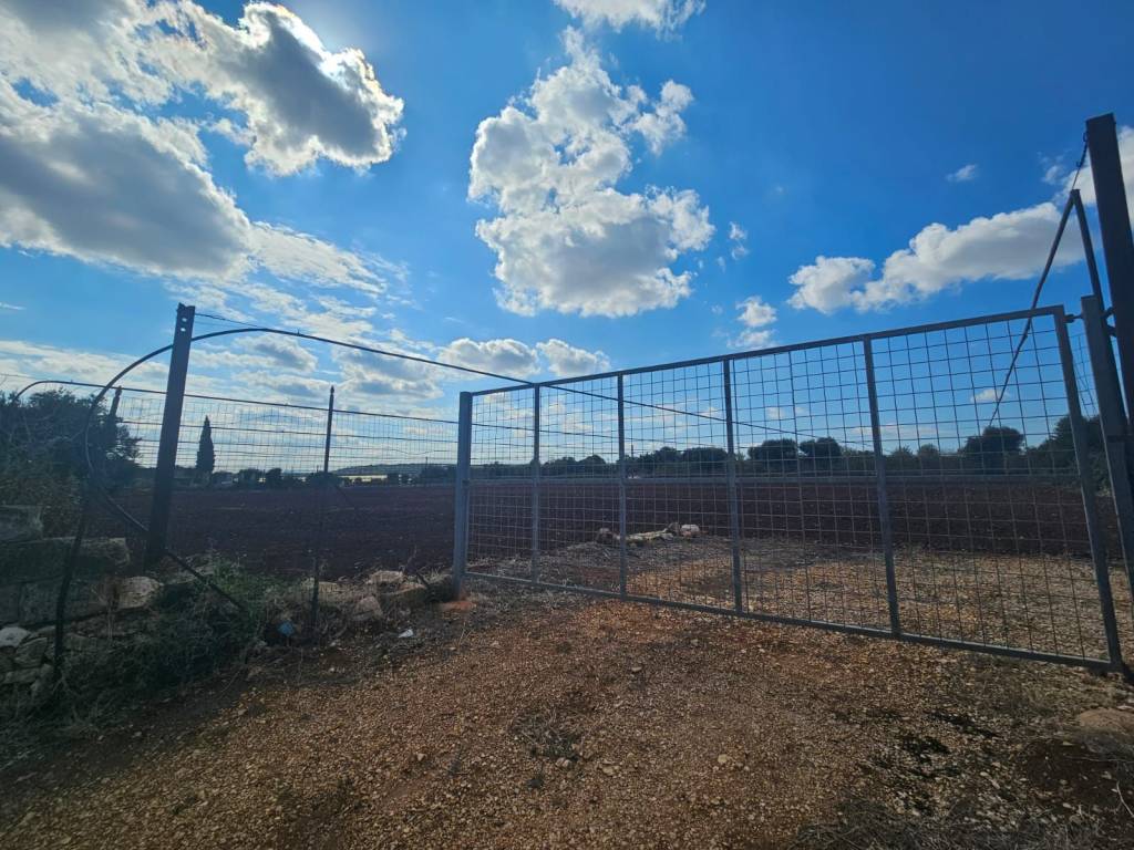 immagine annuncio 2 di 4