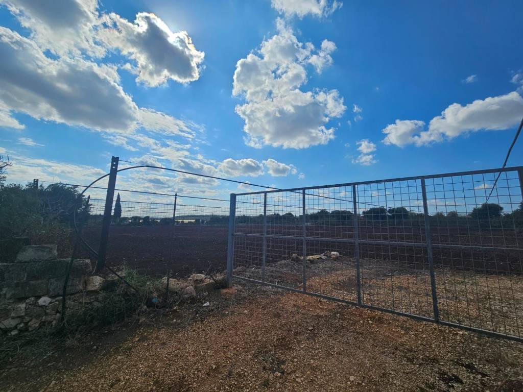 immagine annuncio 3 di 4