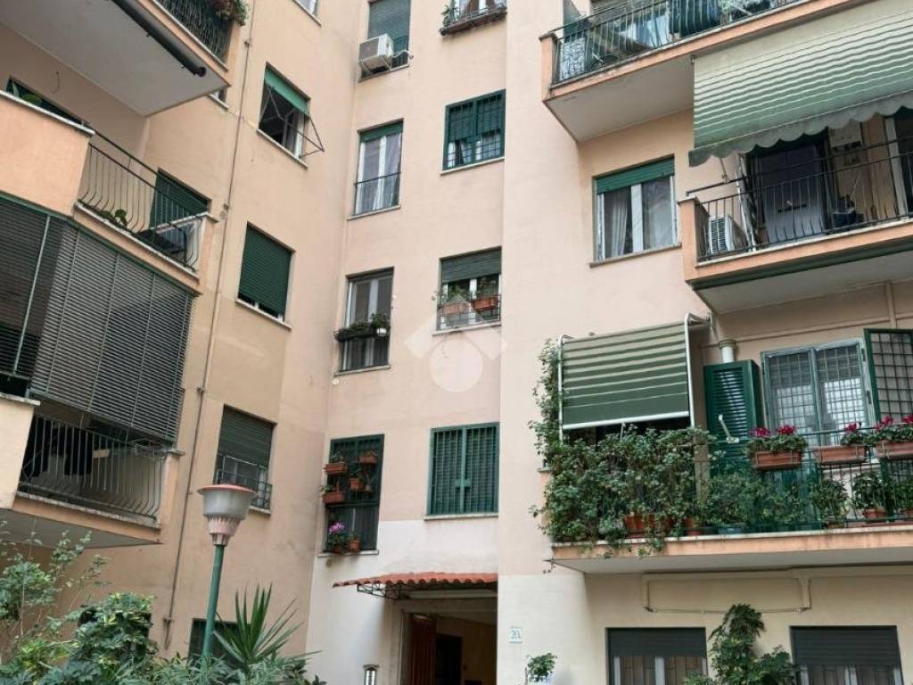immagine annuncio 2 di 3