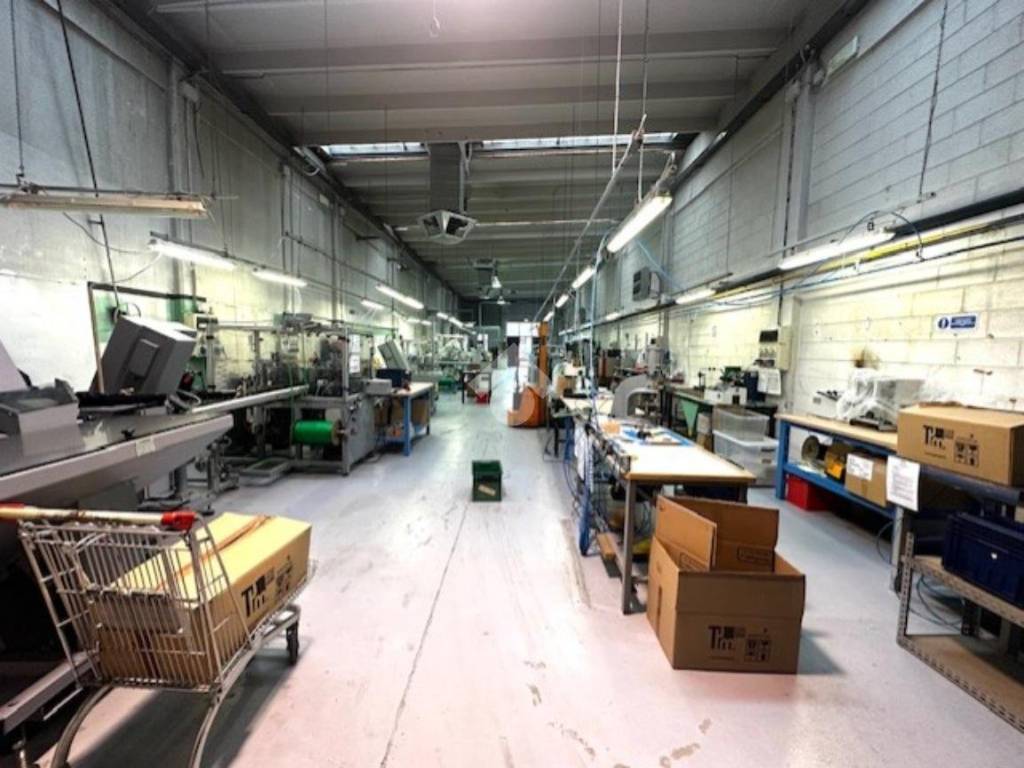 immagine annuncio 1 di 5