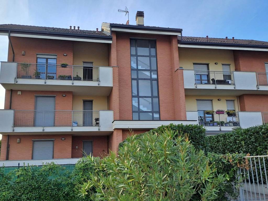 immagine annuncio 2 di 5