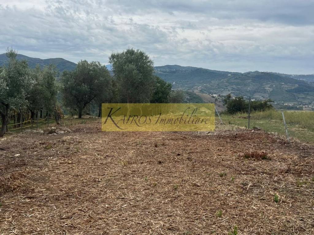 immagine annuncio 3 di 4