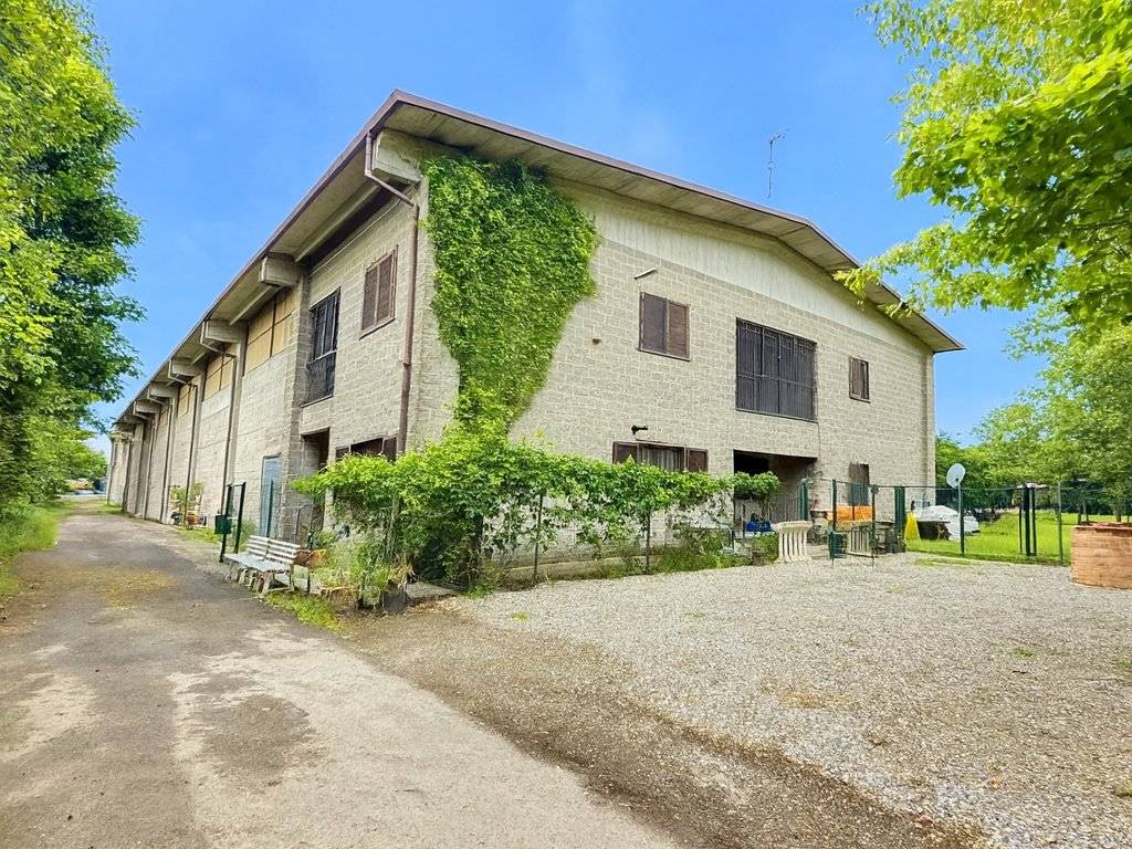 immagine annuncio 1 di 5