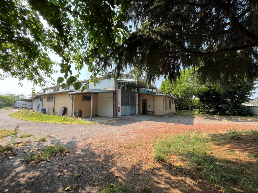 immagine annuncio 3 di 5