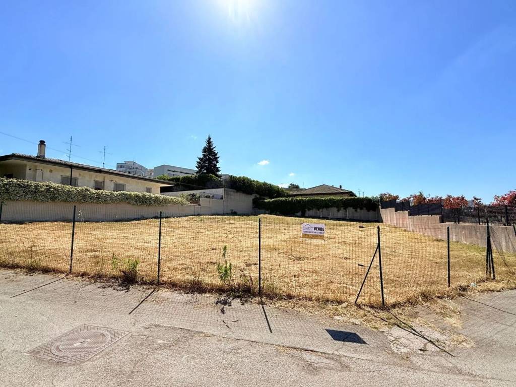 immagine annuncio 2 di 3