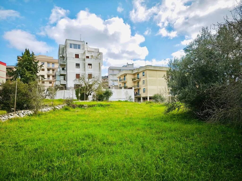 immagine annuncio 1 di 2