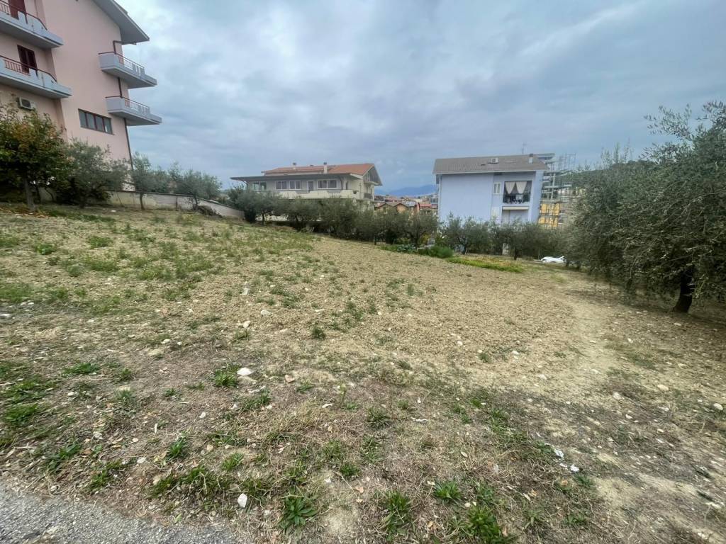 immagine annuncio 1 di 3