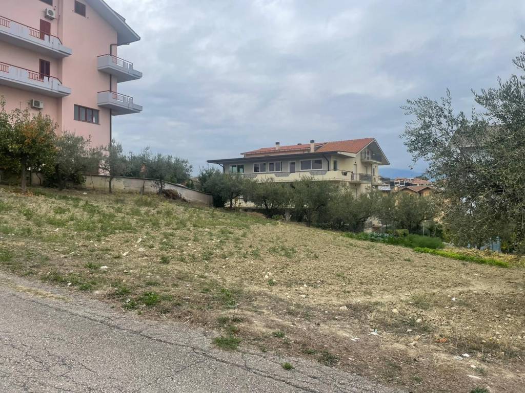 immagine annuncio 2 di 3