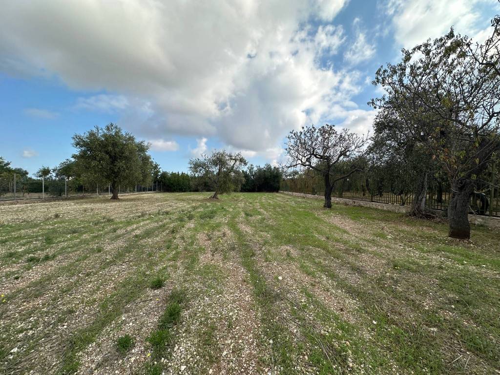 immagine annuncio 1 di 2