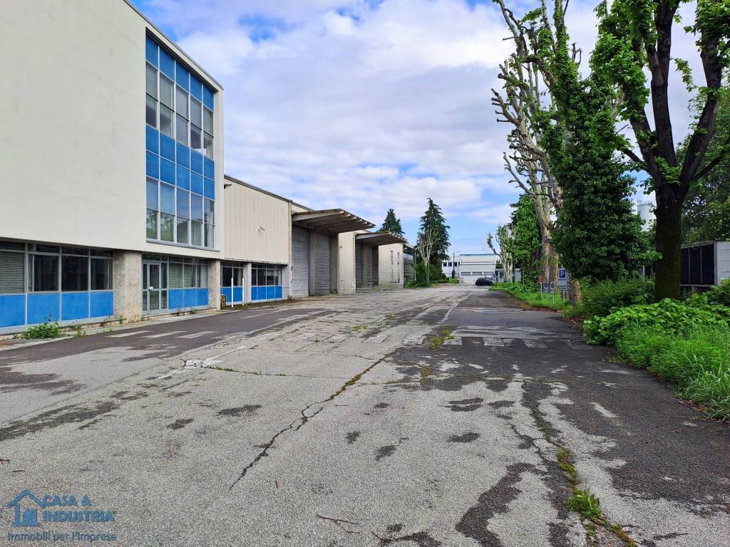 immagine annuncio 3 di 5