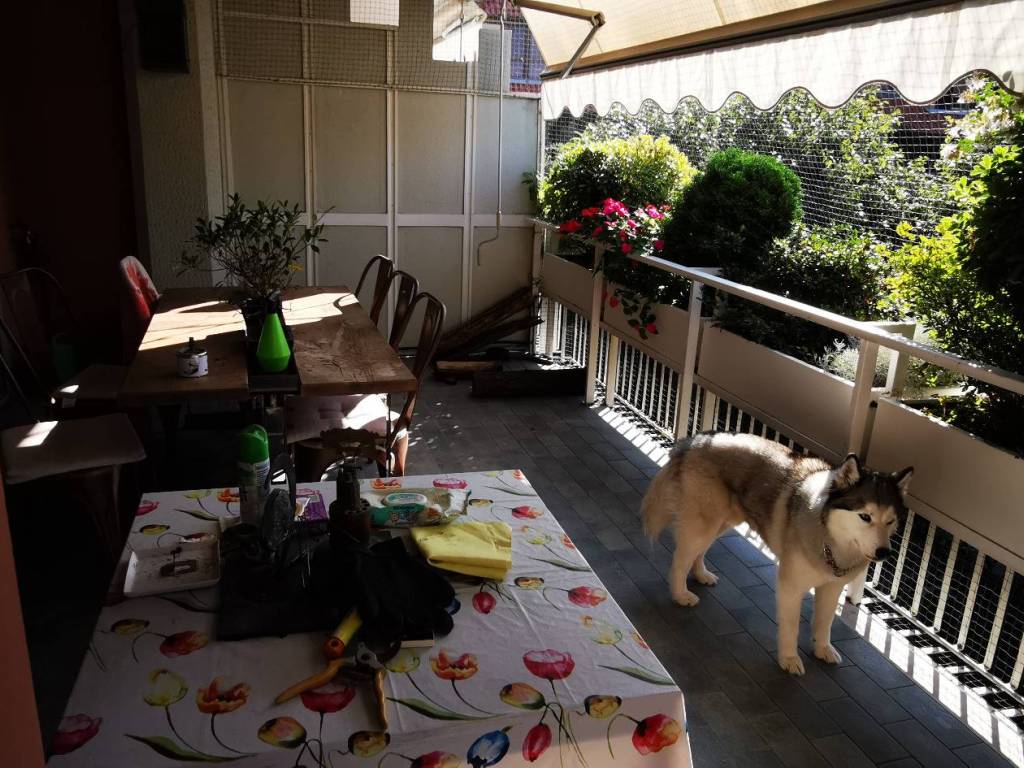 immagine annuncio 4 di 5