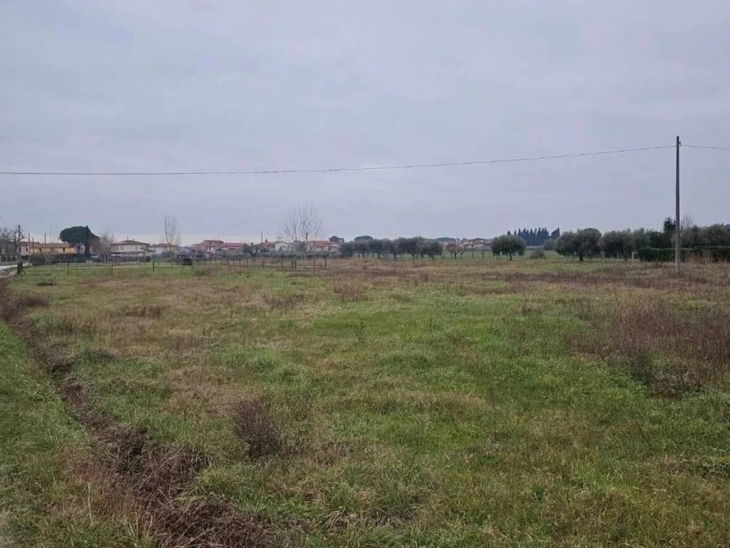 immagine annuncio 1 di 2