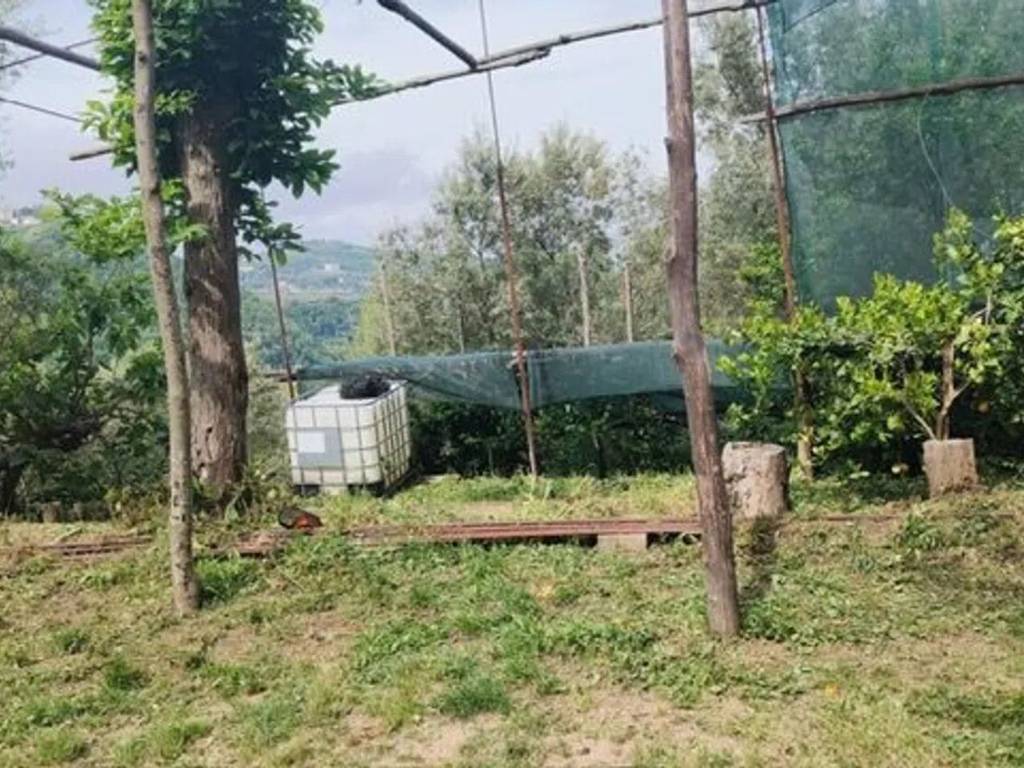 immagine annuncio 1 di 4