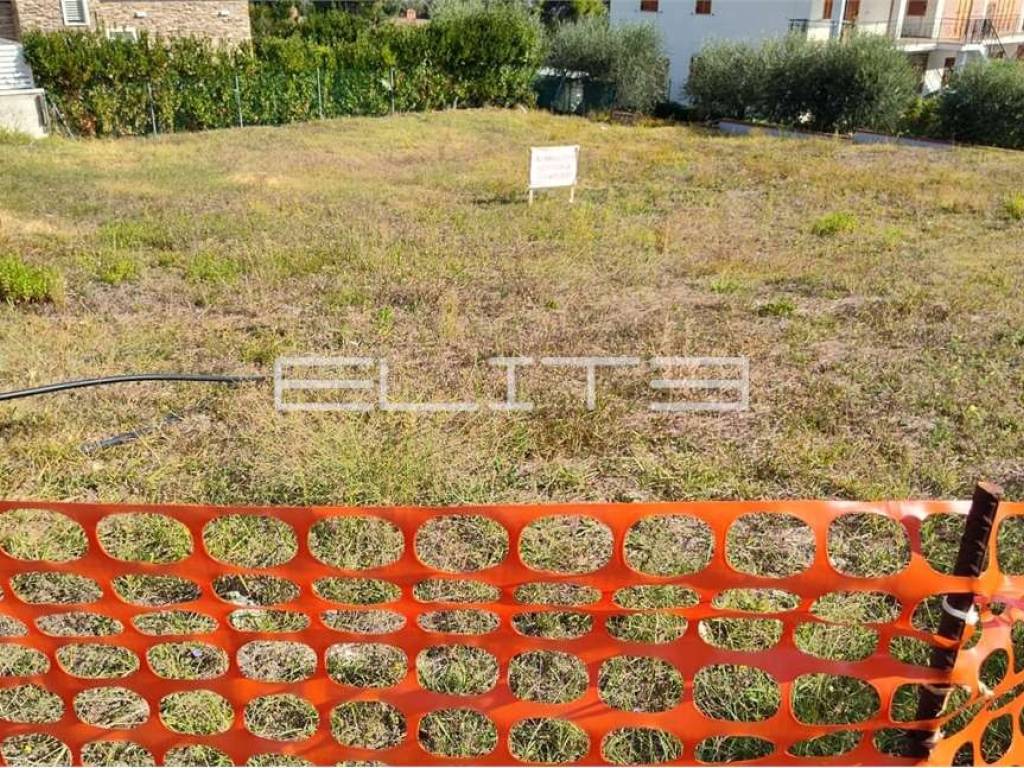 immagine annuncio 2 di 3