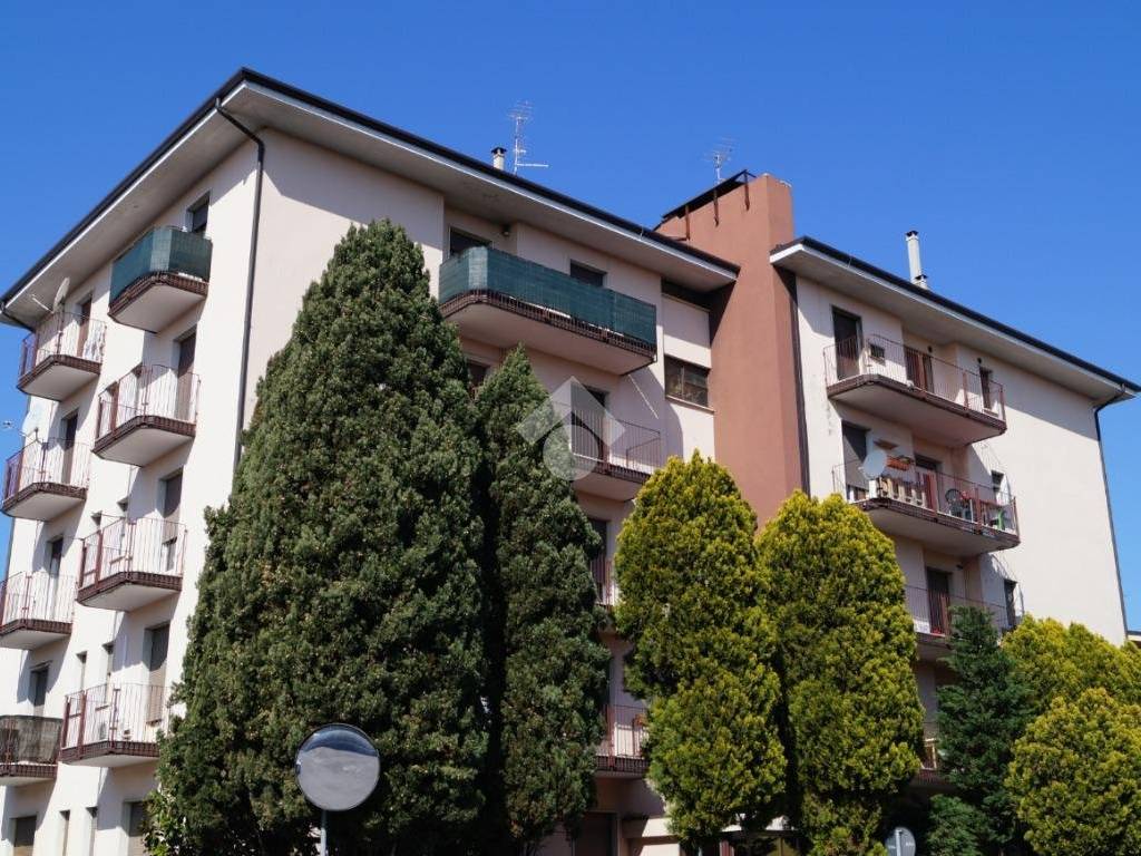 immagine annuncio 2 di 3