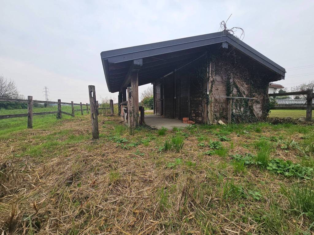 immagine annuncio 2 di 4