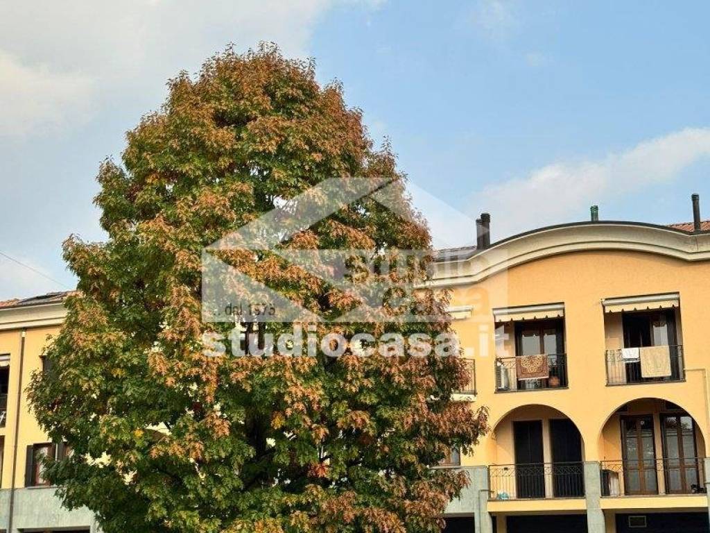 immagine annuncio 1 di 3