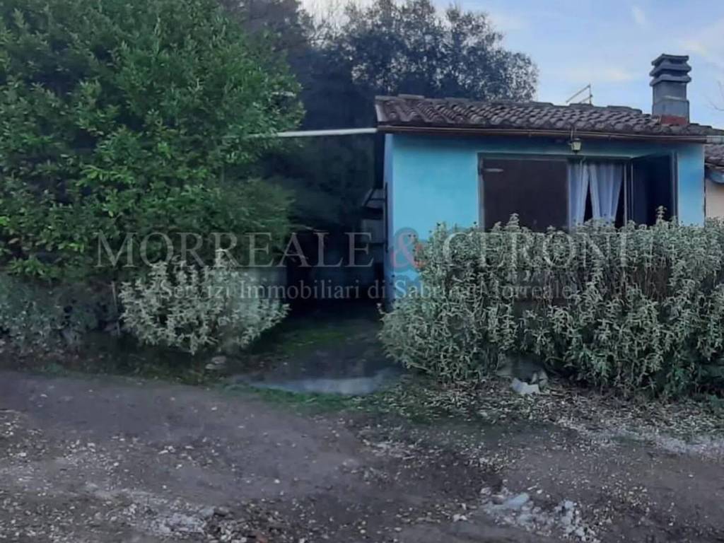 immagine annuncio 2 di 4