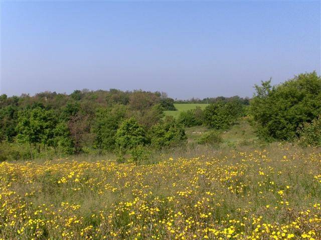 immagine annuncio 1 di 2