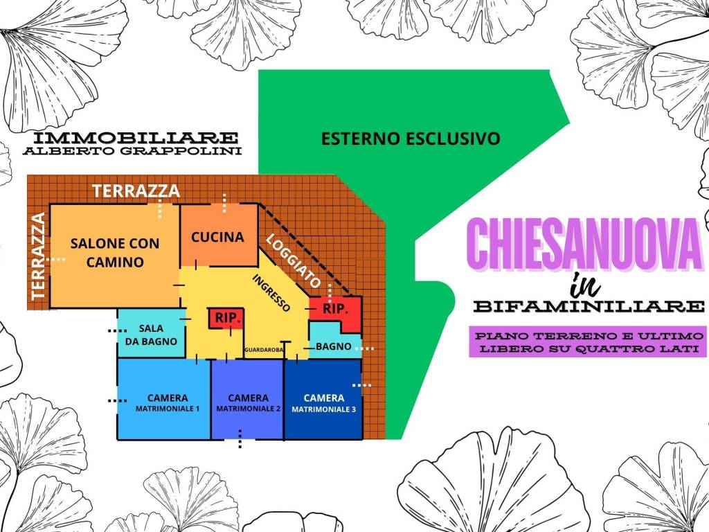 immagine annuncio 1 di 5