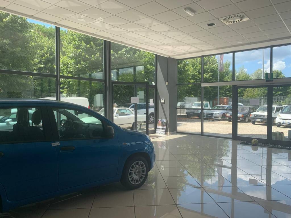 immagine annuncio 2 di 5