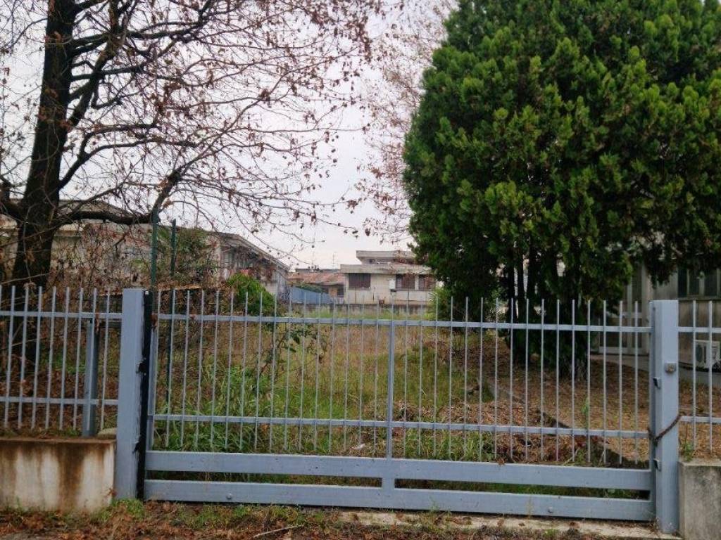 immagine annuncio 2 di 3