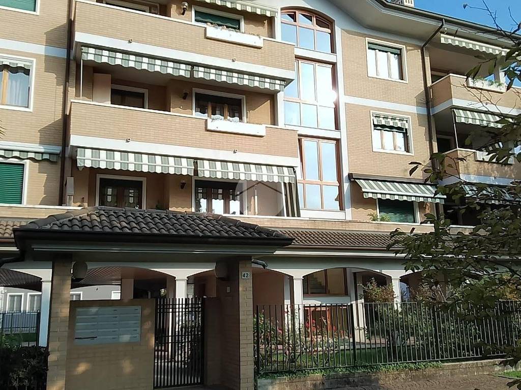 immagine annuncio 4 di 5