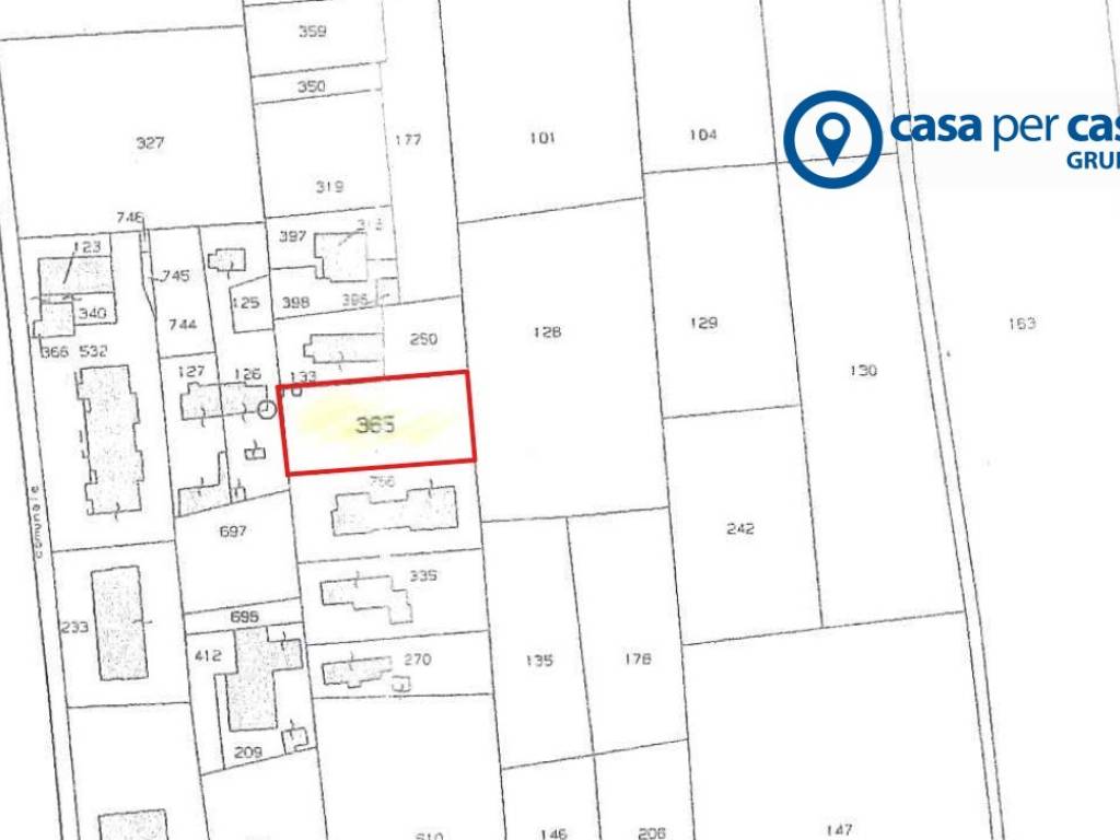 immagine annuncio 1 di 5