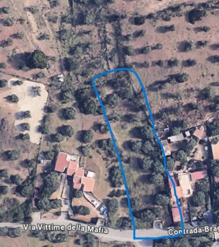 immagine annuncio 2 di 3