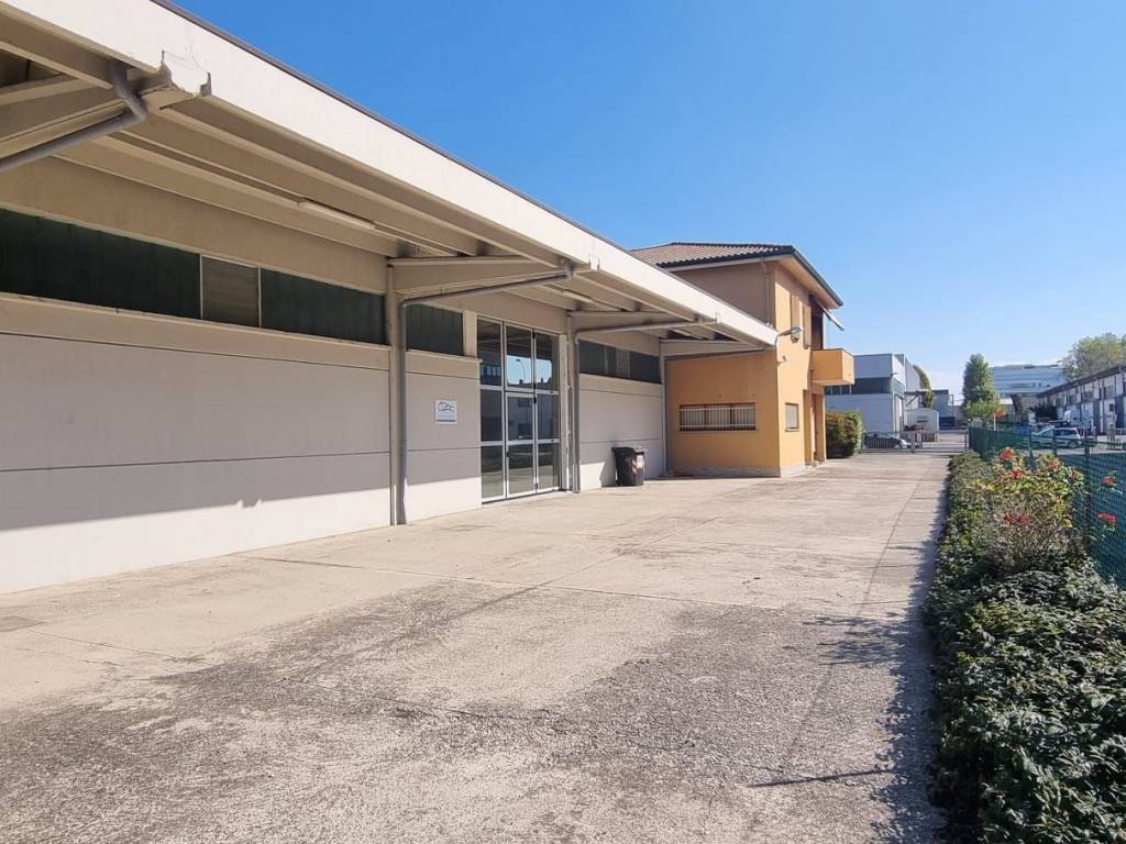 immagine annuncio 2 di 5