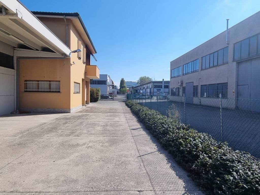 immagine annuncio 3 di 5