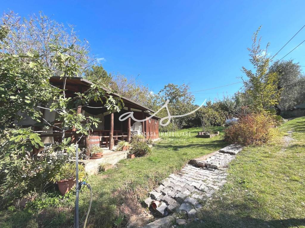 immagine annuncio 2 di 5