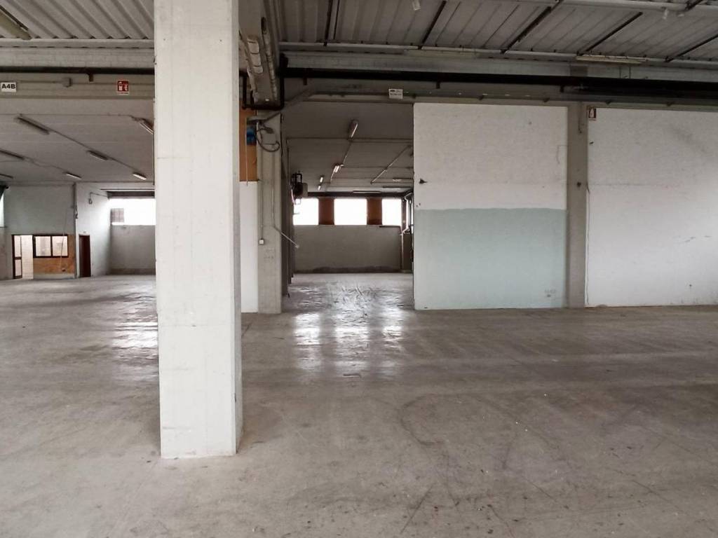 immagine annuncio 4 di 5