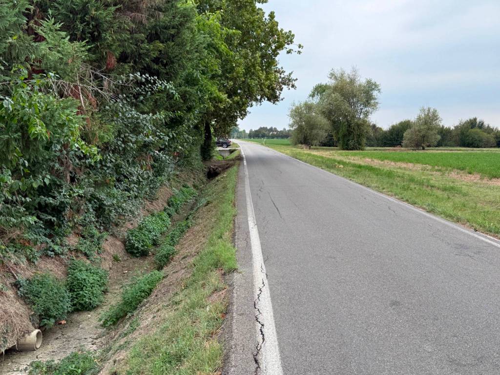 immagine annuncio 1 di 2