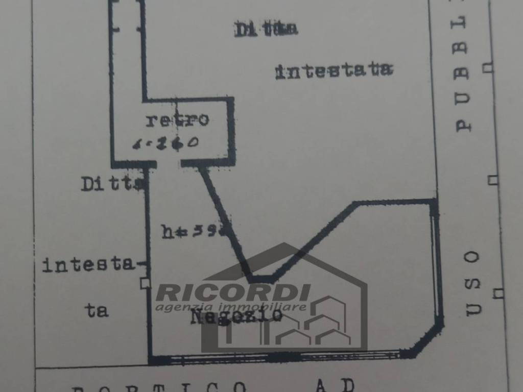 immagine annuncio 1 di 2