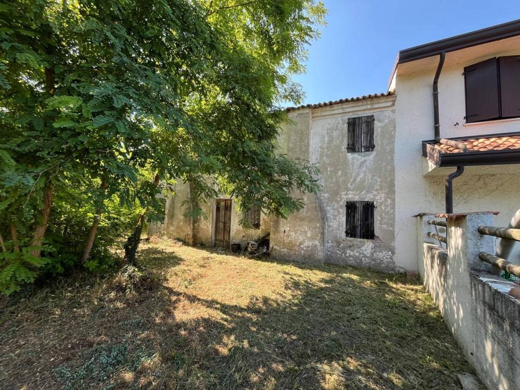 immagine annuncio 1 di 4