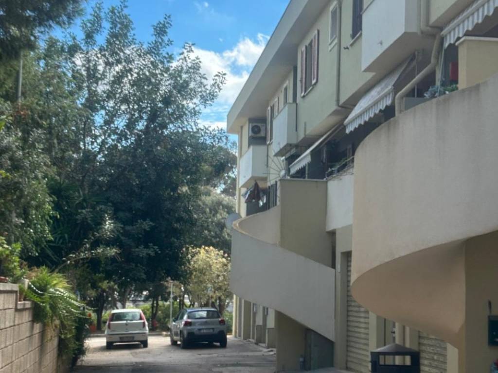 immagine annuncio 1 di 4