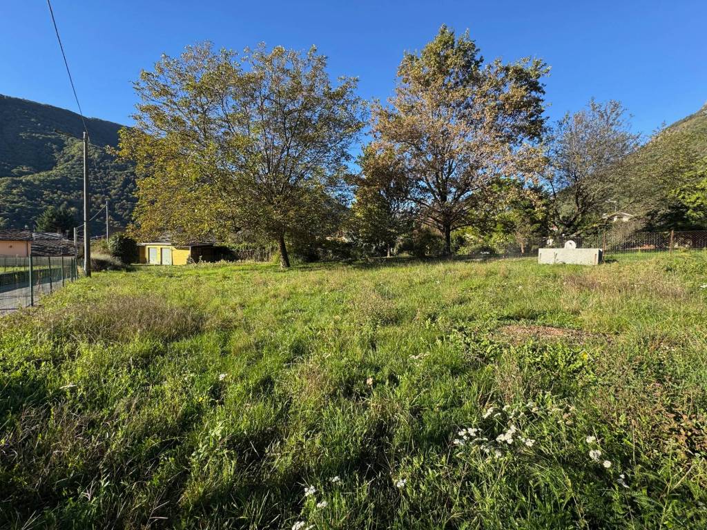 immagine annuncio 1 di 4