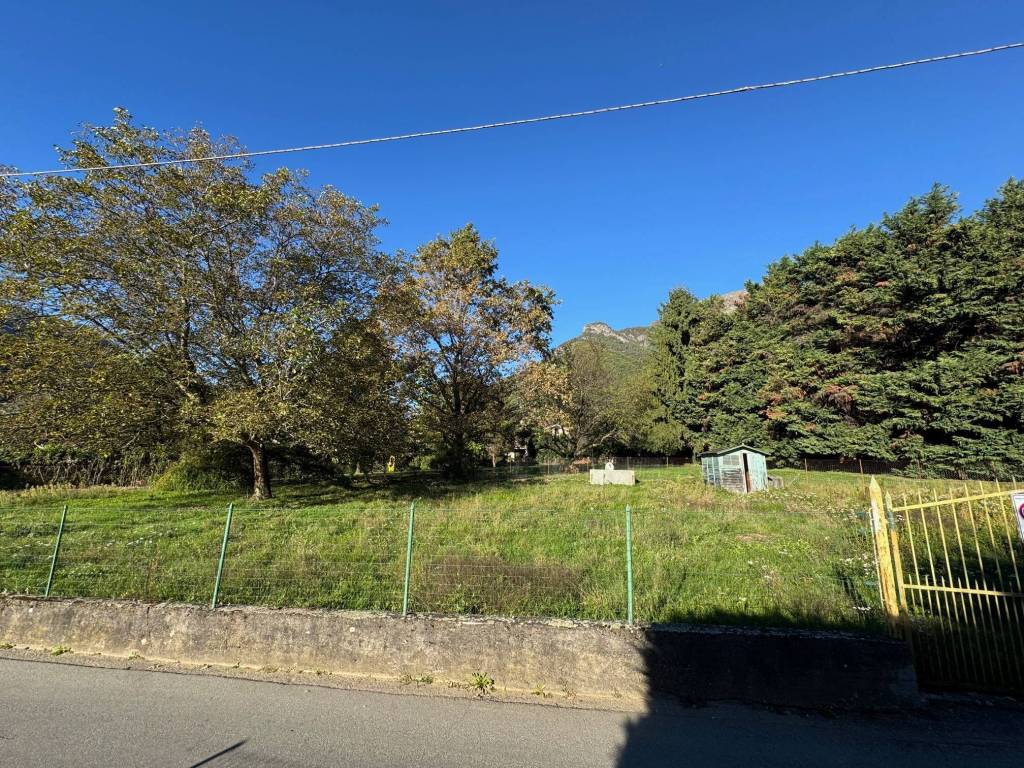 immagine annuncio 2 di 4