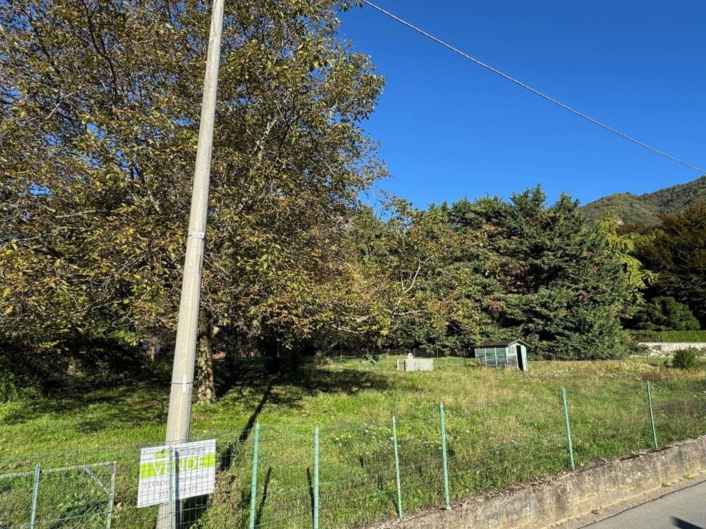 immagine annuncio 3 di 4