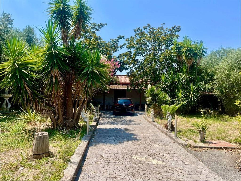 immagine annuncio 1 di 4