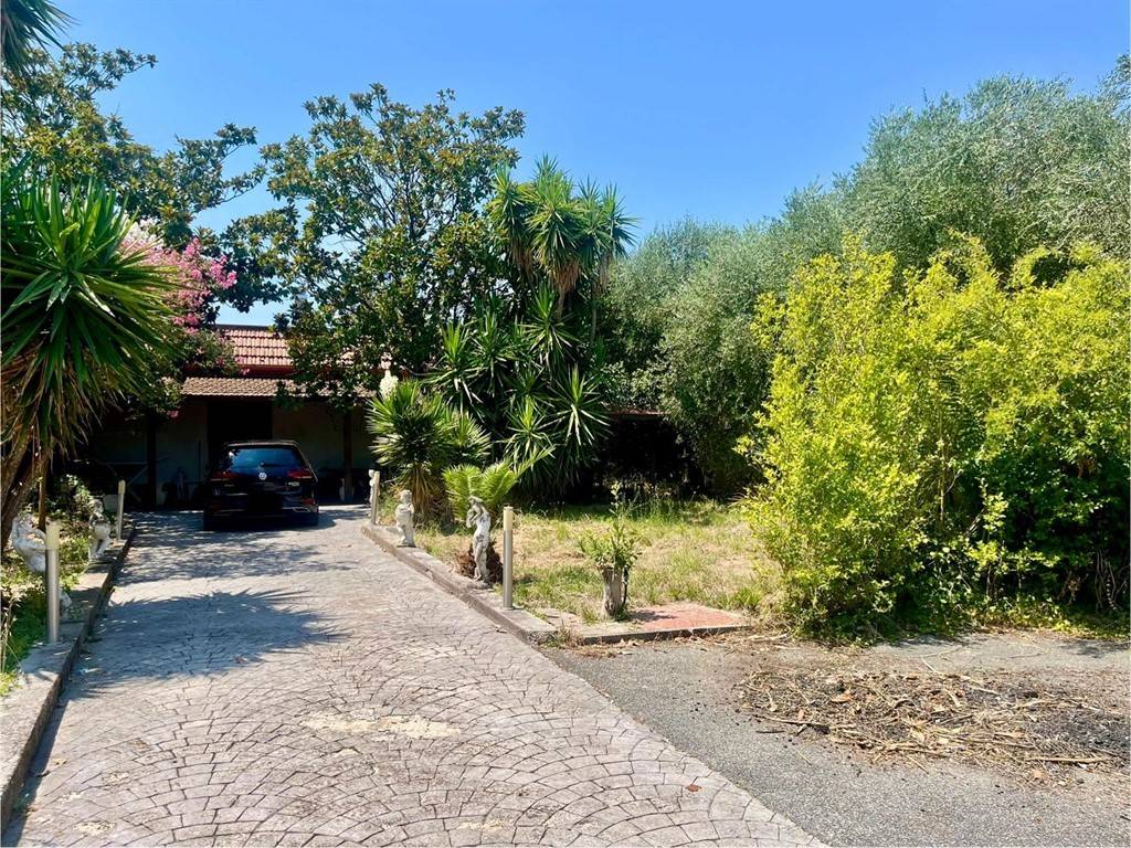 immagine annuncio 3 di 4