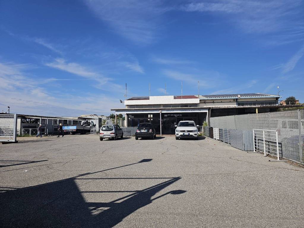 immagine annuncio 2 di 5