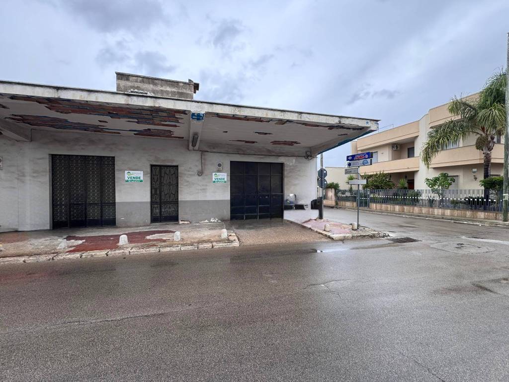 immagine annuncio 1 di 4