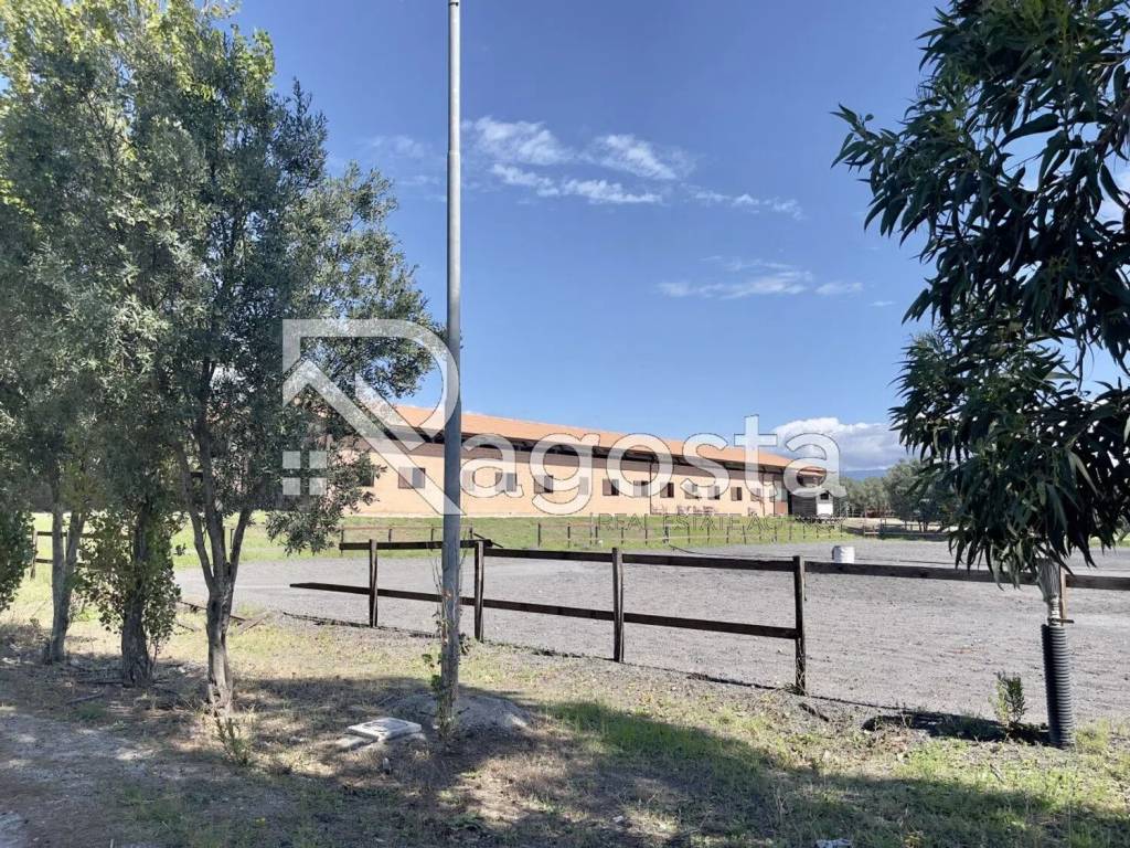 immagine annuncio 1 di 3