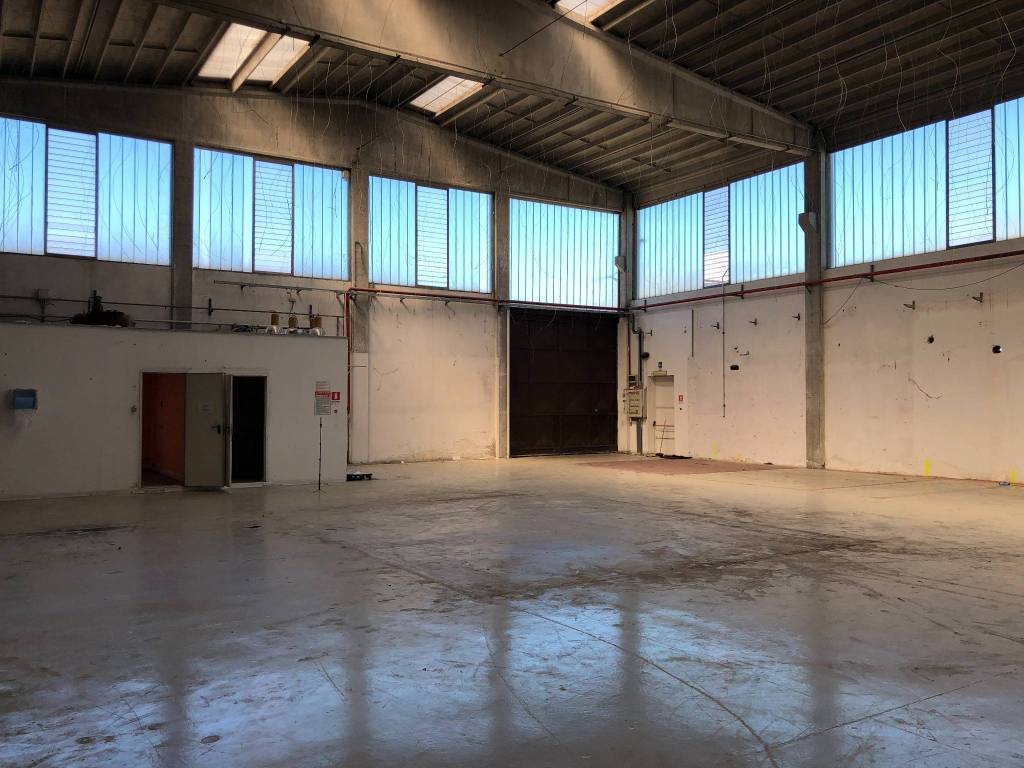 immagine annuncio 4 di 5