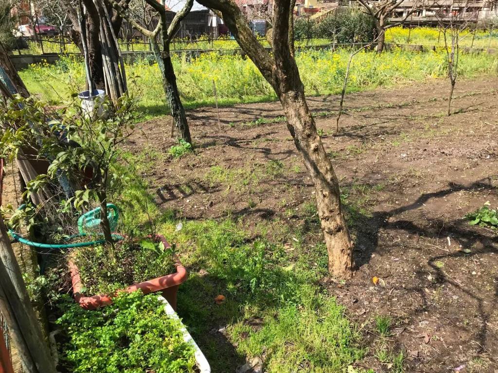 immagine annuncio 2 di 4