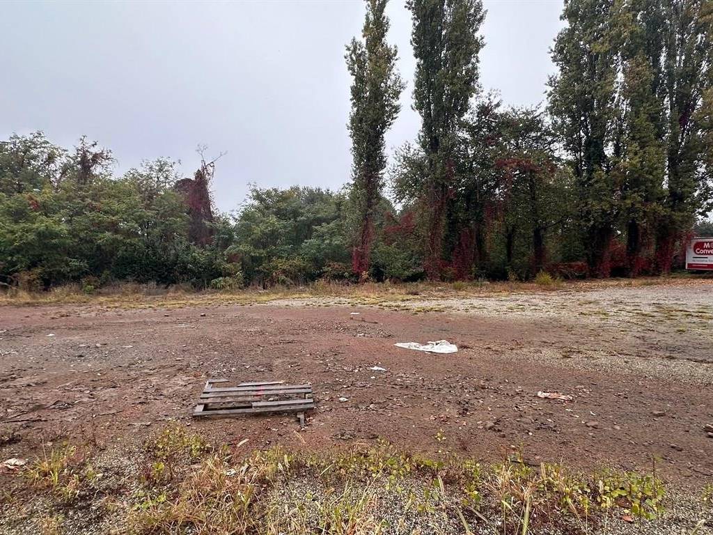 immagine annuncio 2 di 4