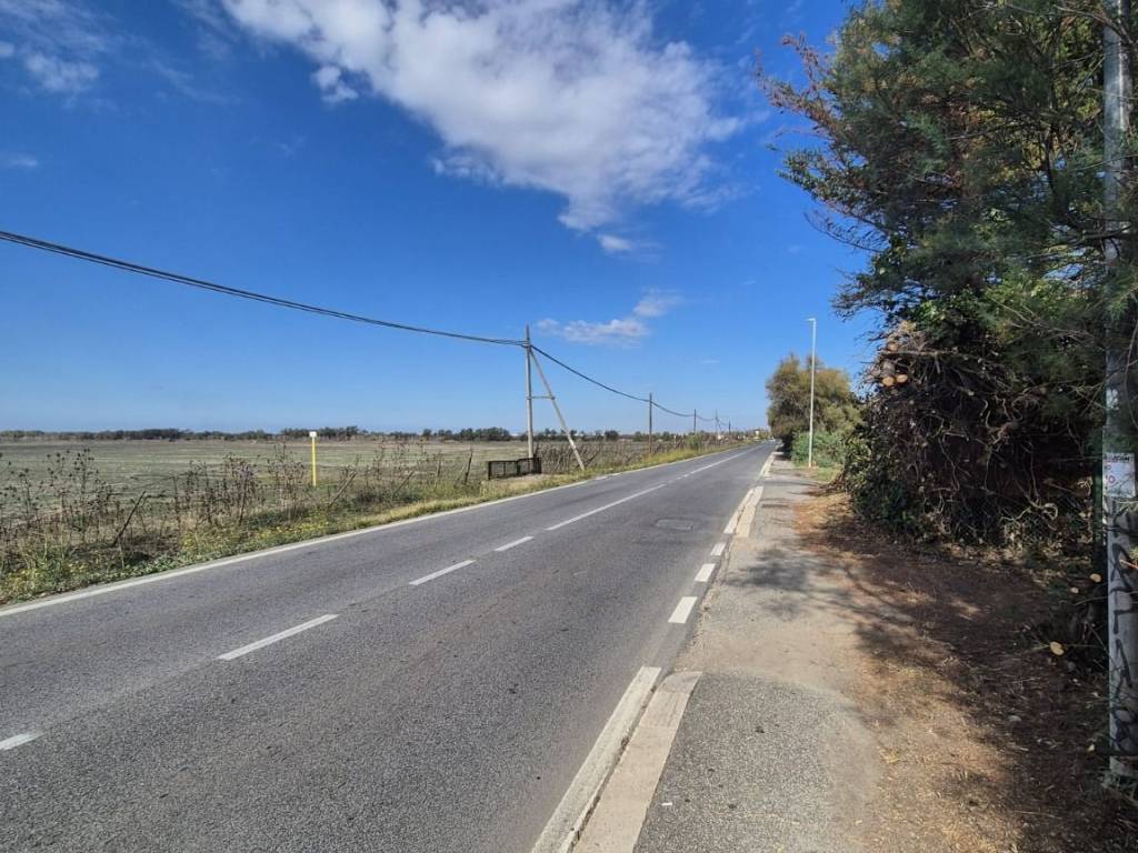 immagine annuncio 3 di 4